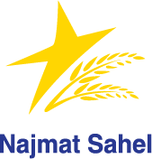 FERGUS - NAJMAT SAHEL LOGO