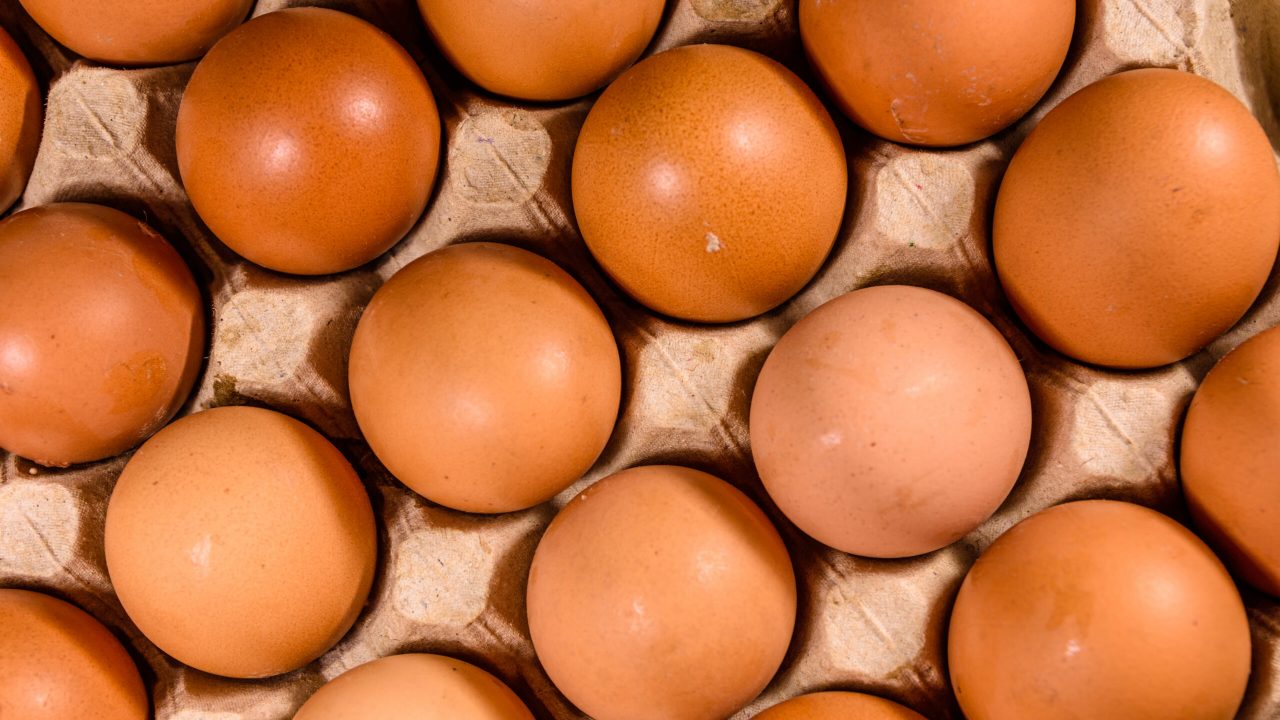 shutterstock_1482443888