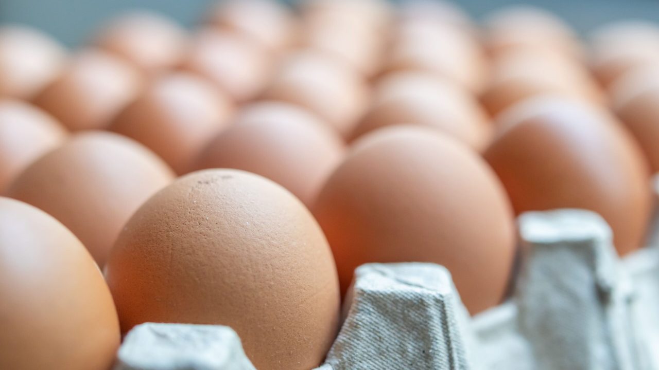 shutterstock_2720366719